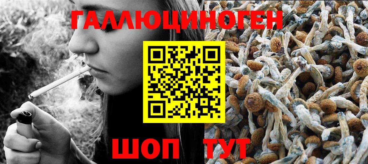 Псилоцибиновые грибы мухоморы  Вход с VPN  Егорьевск 